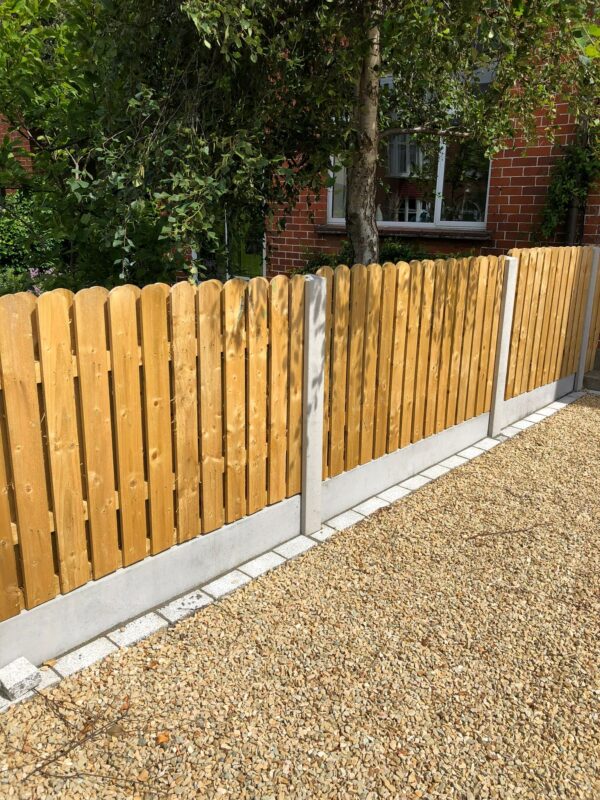 WhatsApp Image 2023 02 01 at 17.09.49